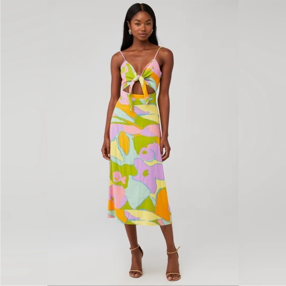 Show Me Your MuMu Dresses & Skirts - Show Me Your MuMu Vibrant Floral Midi Dress